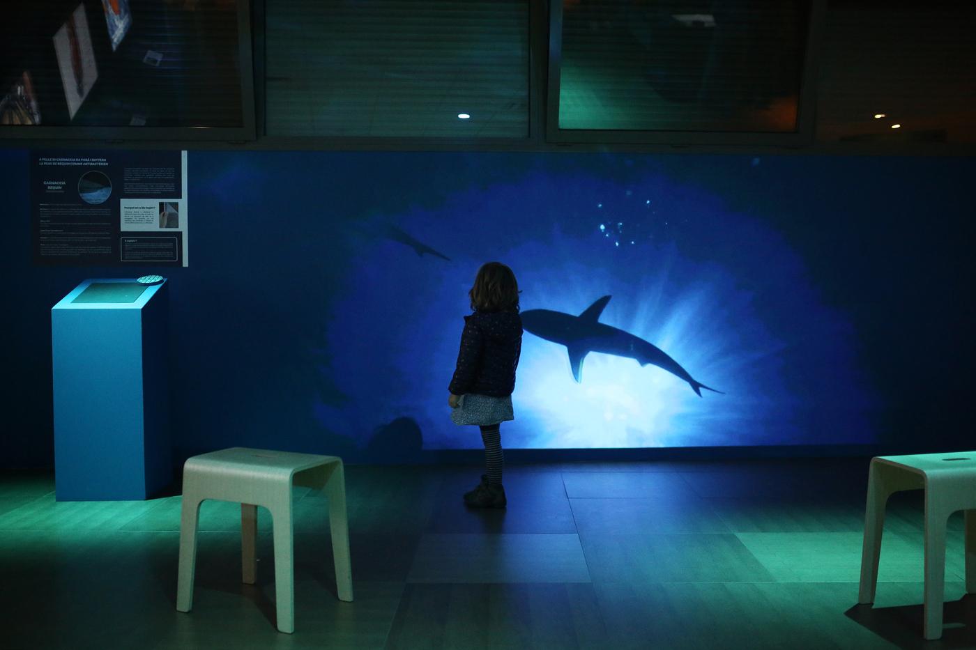 Le biomimétisme et la mer — photo 2